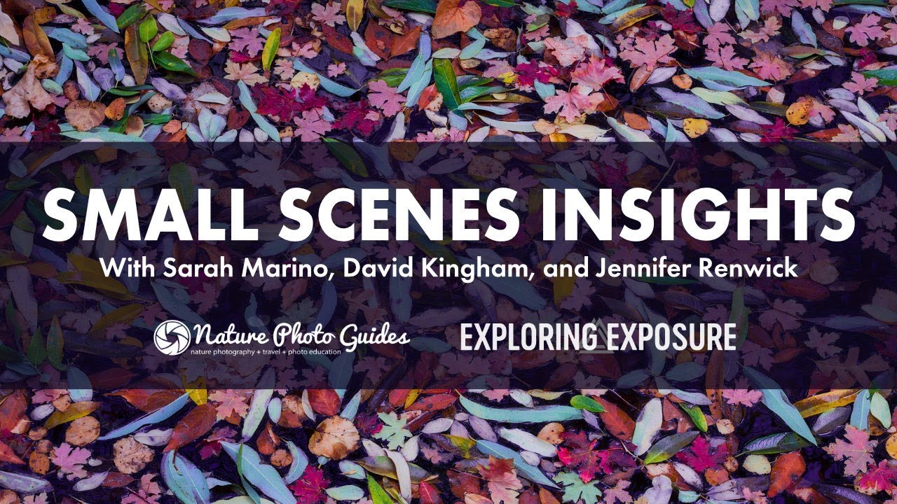 Small Scenes Insights Webinar with Sarah Marino, Jennifer Renwick, and David Kingham