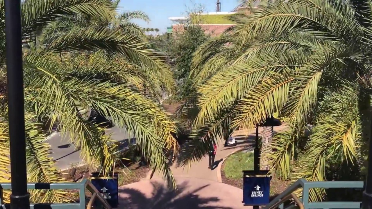 Walk through Disney Springs