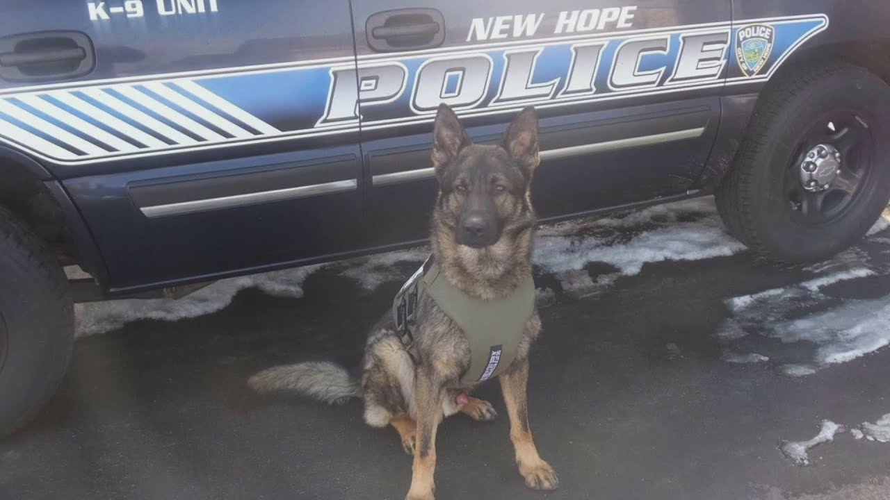 New Hope K9 Kody Retires After Years Of Service