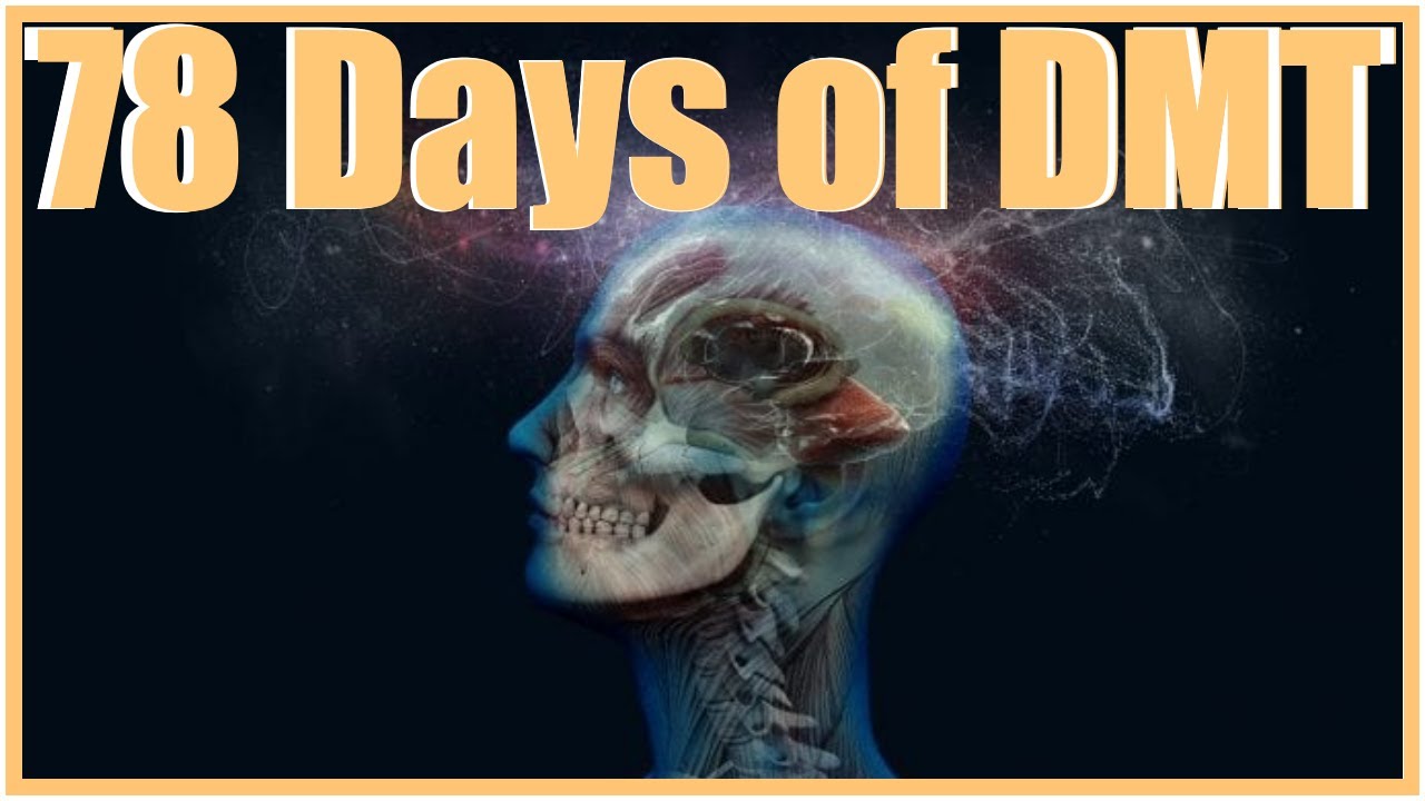 78 Days of DMT (Original Journal) - The Man That Did DMT Everyday for 78 Days