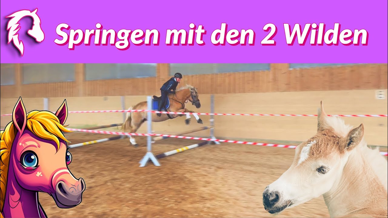 Springen mit Schnuppi & Sterni