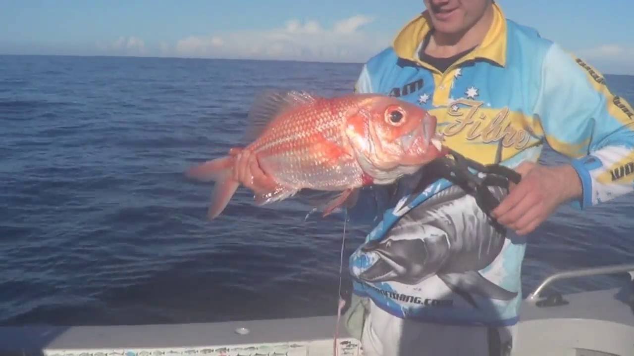 Catching Snapper & Nannygai Offshore