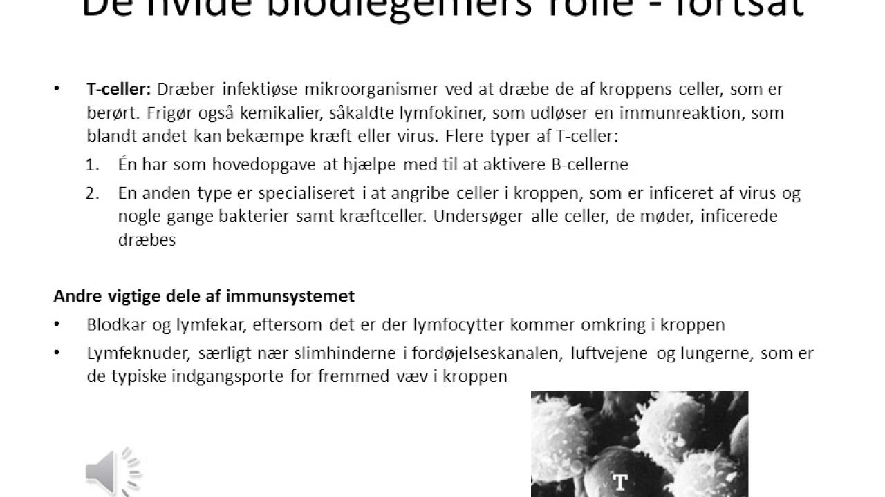 Immunsystemet