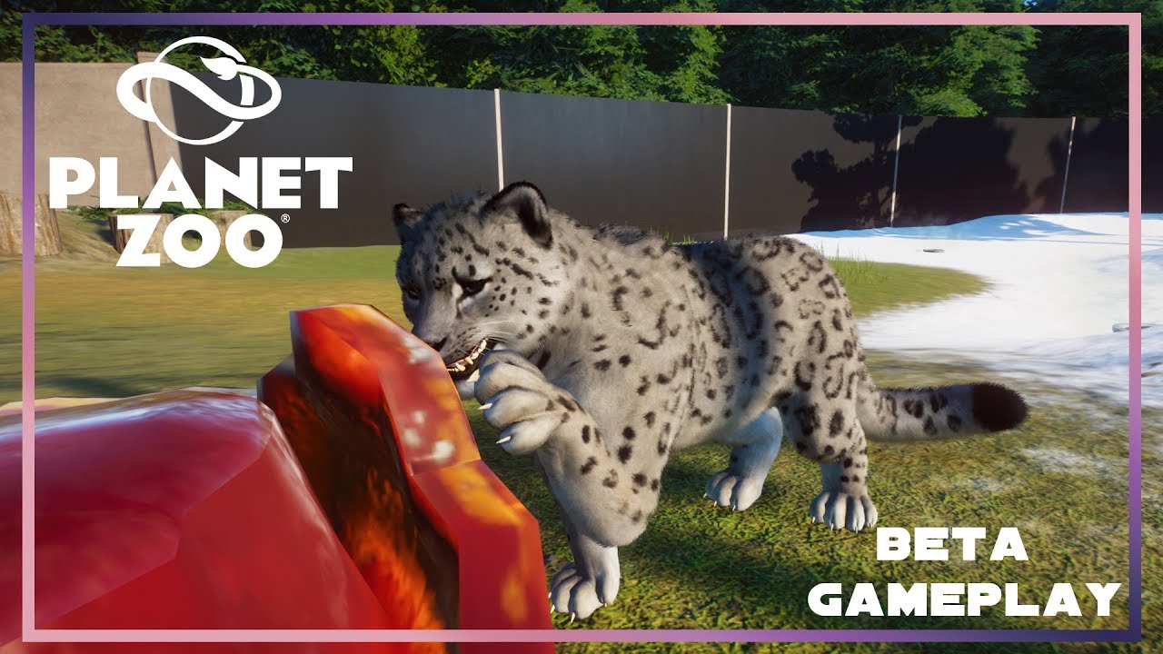 SNOW LEOPARDS // Planet Zoo Beta // Career Mode Gameplay