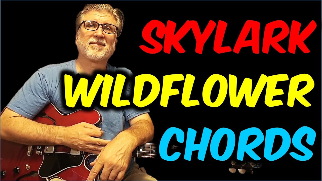 Как играть Wildflower от Skylark (ссылка на сольный урок в описании)