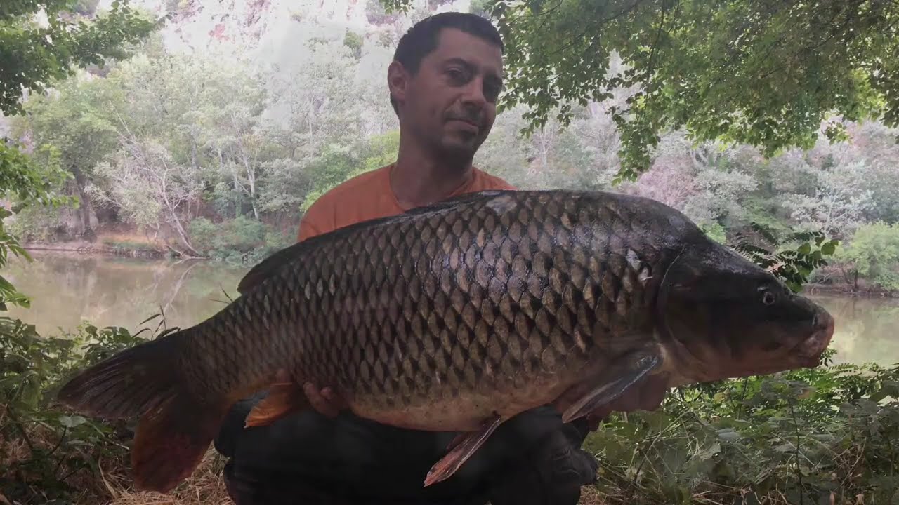 Copacabana Beach AKA Vardar Jabana & Bossa Nova AKA Noga Bosa ( REPORTAZA RIBOLOV na Reka Vardar ) 🎣