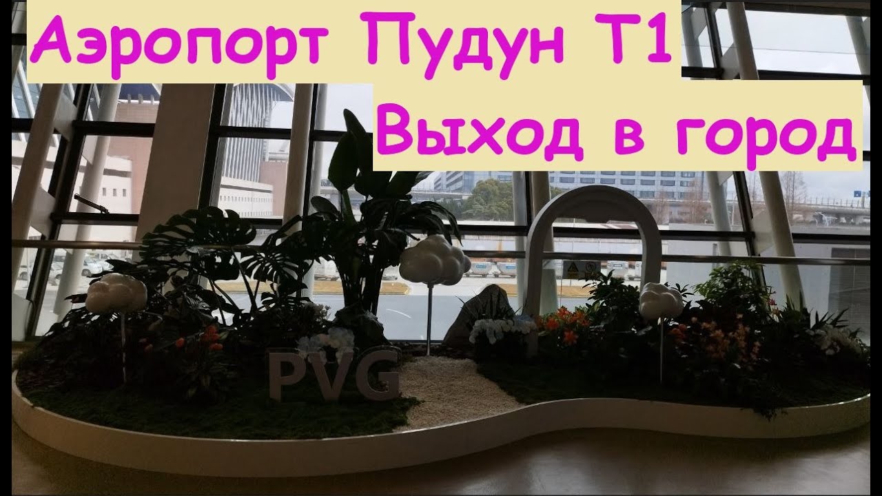 Аэропорт Пудун Т1 * Пересадна 24 часа * Выход в город / Китай, Шанхай