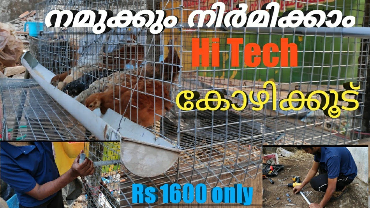 15 കോഴിയുടെ  Hi Tech കോഴികൂട്  നിർമാണം// Hitech chicken cage Malayalam