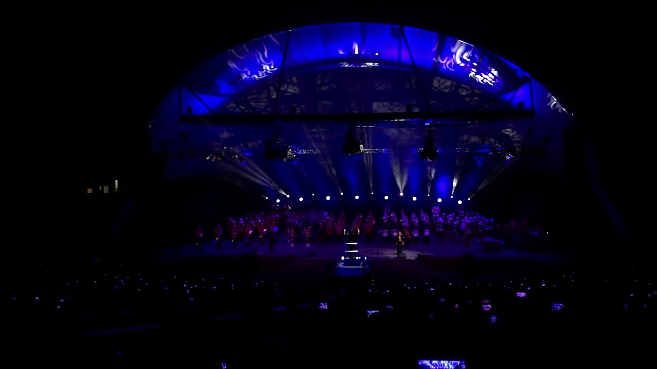 Loreley Tattoo 2018 