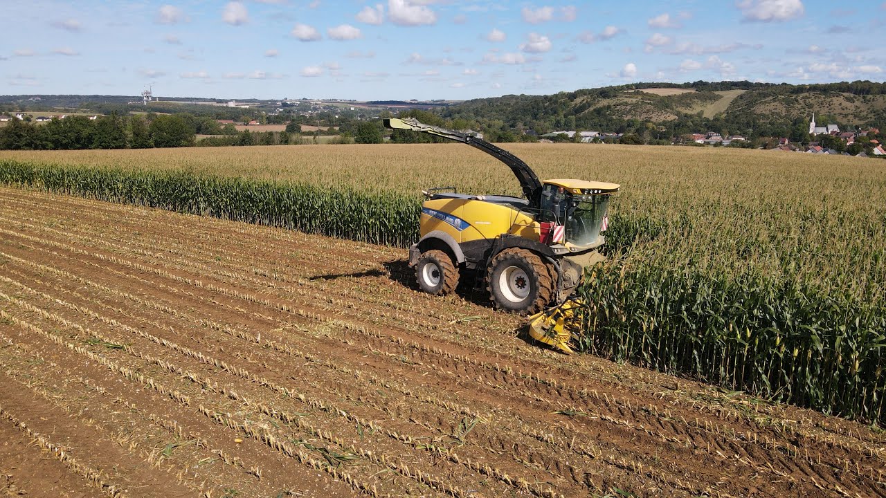 Chantier ensilage 2025 à l’EARL Deron avec SARL cuvillier