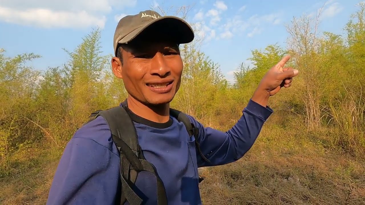 นอนป่าทุ่งไผ่1คืน มารอบนี้ป่าแปลกๆ !! หมาจิ้งจอกหายไป🐈 22/01/69