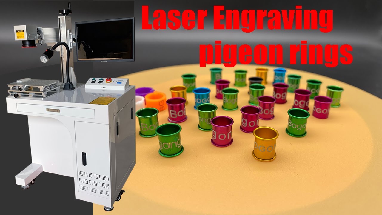 Bird Pigeon Rings Laser Engraving Printing Marking Machine | How to Engrave on Pigeon rings by EZCAD