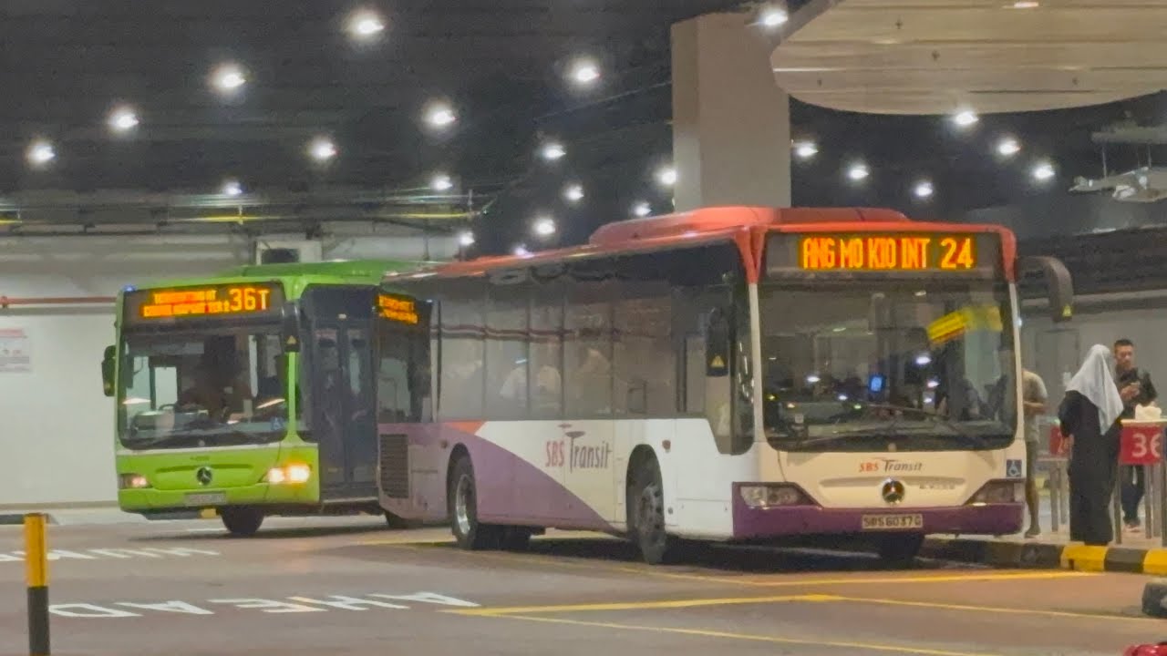 Buses at Changi Airport Terminal 3 REMASTERED 