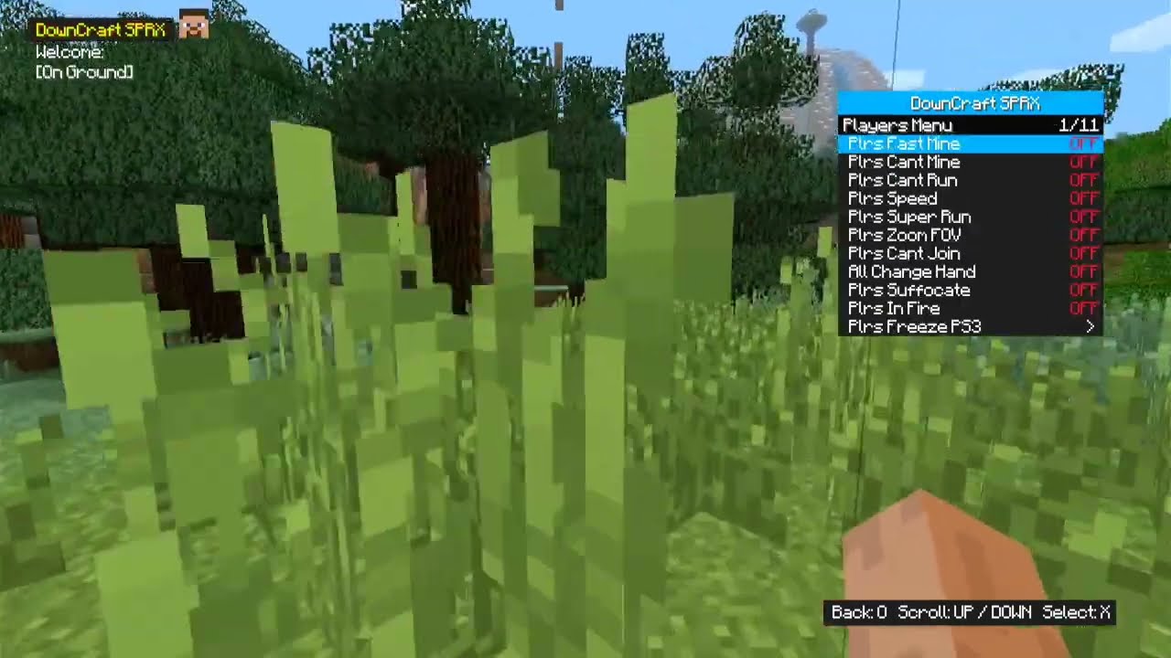 How To Install Minecraft Menu on PS3 Without a PC or USB