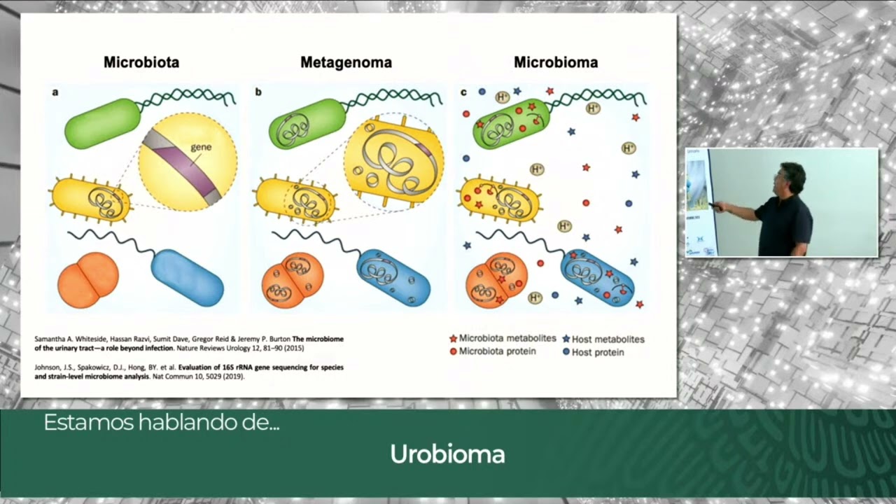 Urobioma