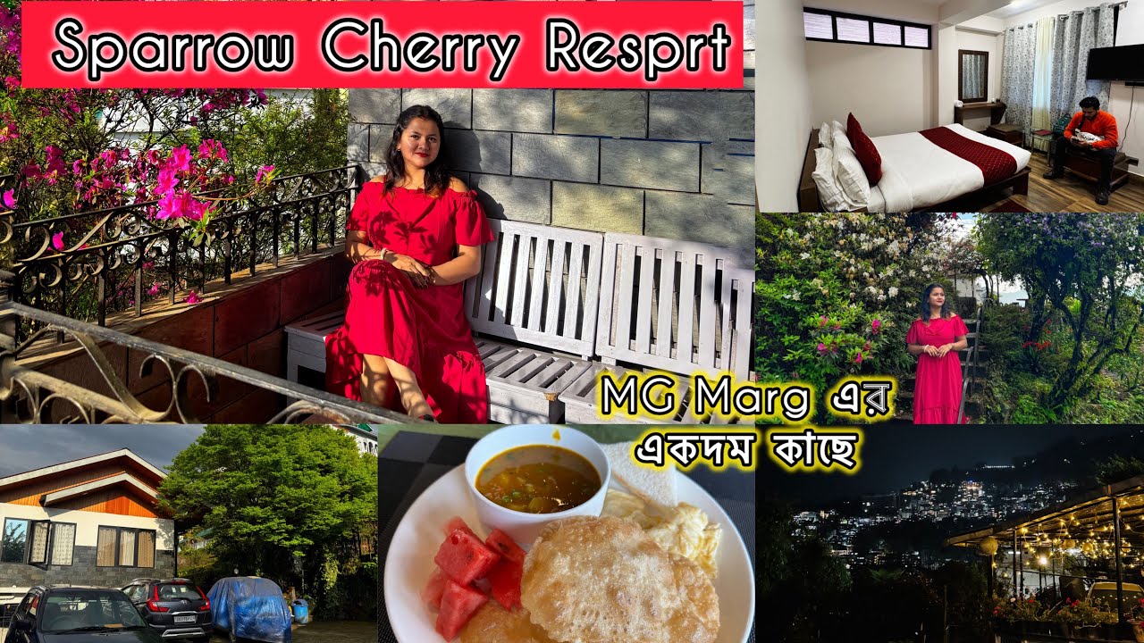 Sparrow Cherry Resort || Gangtok Mg Marg এর একদম কাছে || Buget Friendly Resort || Parking Available