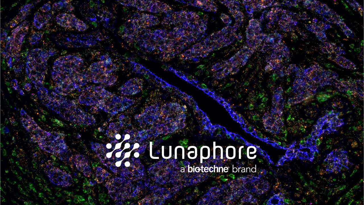 Automated multiomics on COMET™ - a universal solution from discovery to translational research