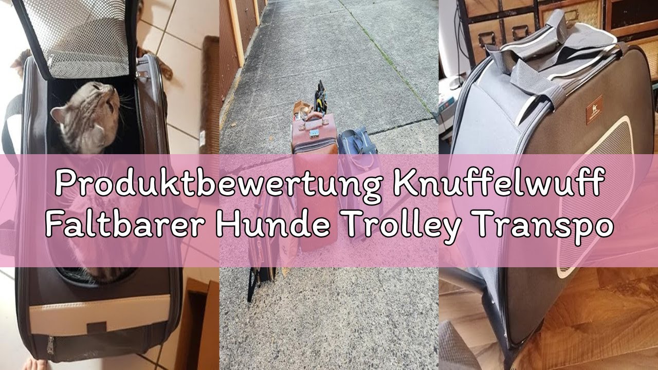 Produktbewertung Knuffelwuff Faltbarer Hunde Trolley Transporttasche Hundewagen rollbar mit Griff M-