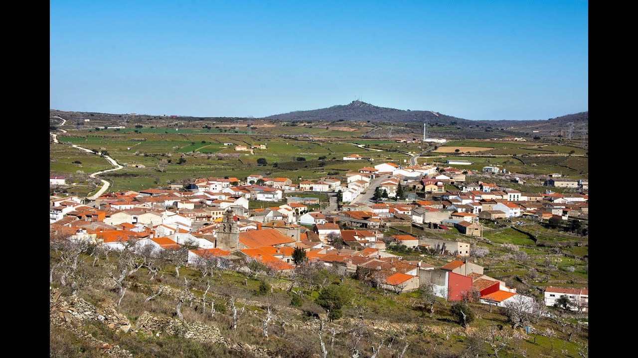 VILVESTRE
