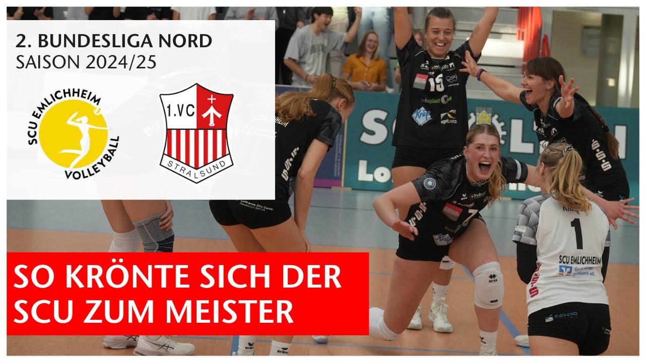 SC Union Emlichheim – Stralsunder Wildcats | 2. Volleyball Bundesliga Nord | GN-Online Spielbericht
