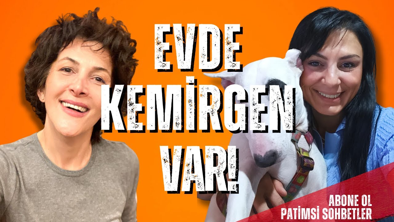 Evde Kemirgen Var! Önüne Geçmek İçin Ne Gibi Önlemler Aldınız?         #doglife #viralvideo #dogs