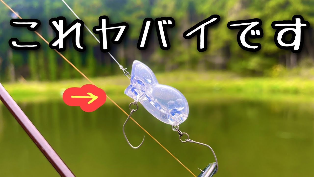 【TABIMASU BASE ~yanagisawa~】管釣りで大爆釣するトップウォーターがやばかった！【エリアトラウト】【ロデオクラフト　にゃんぷっぷ】【インプレ】