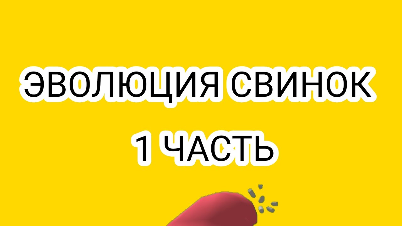 ЭВОЛЮЦИЯ СВИНОК 1 ЧАСТЬ 