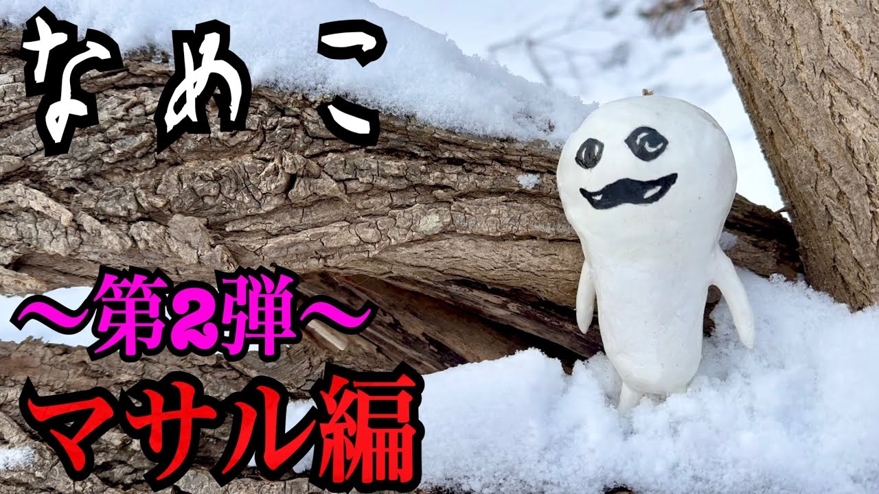 【なめこ】マサル見つけるまで帰れません！！！