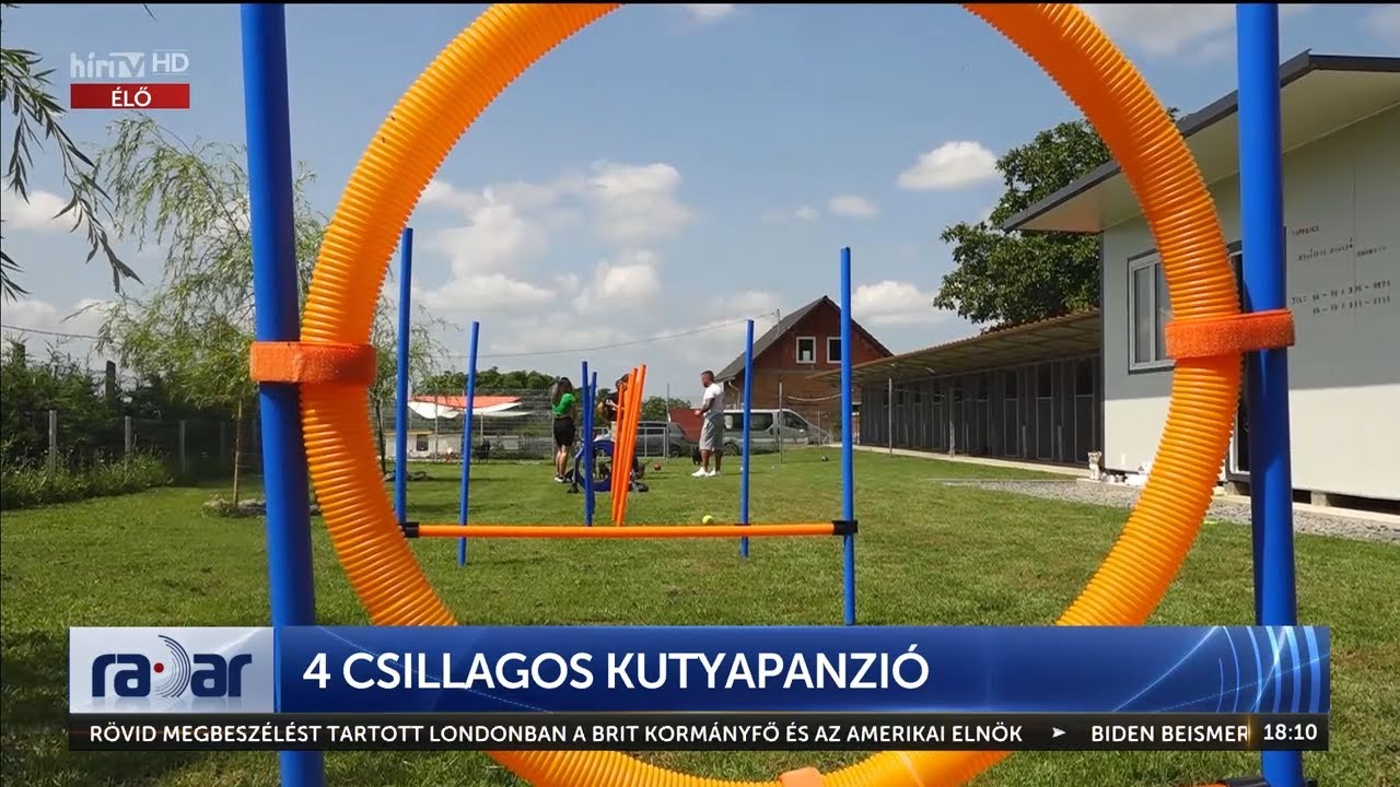 Radar - 4 csillagos kutyapanzió (2023-07-10) - HÍR TV