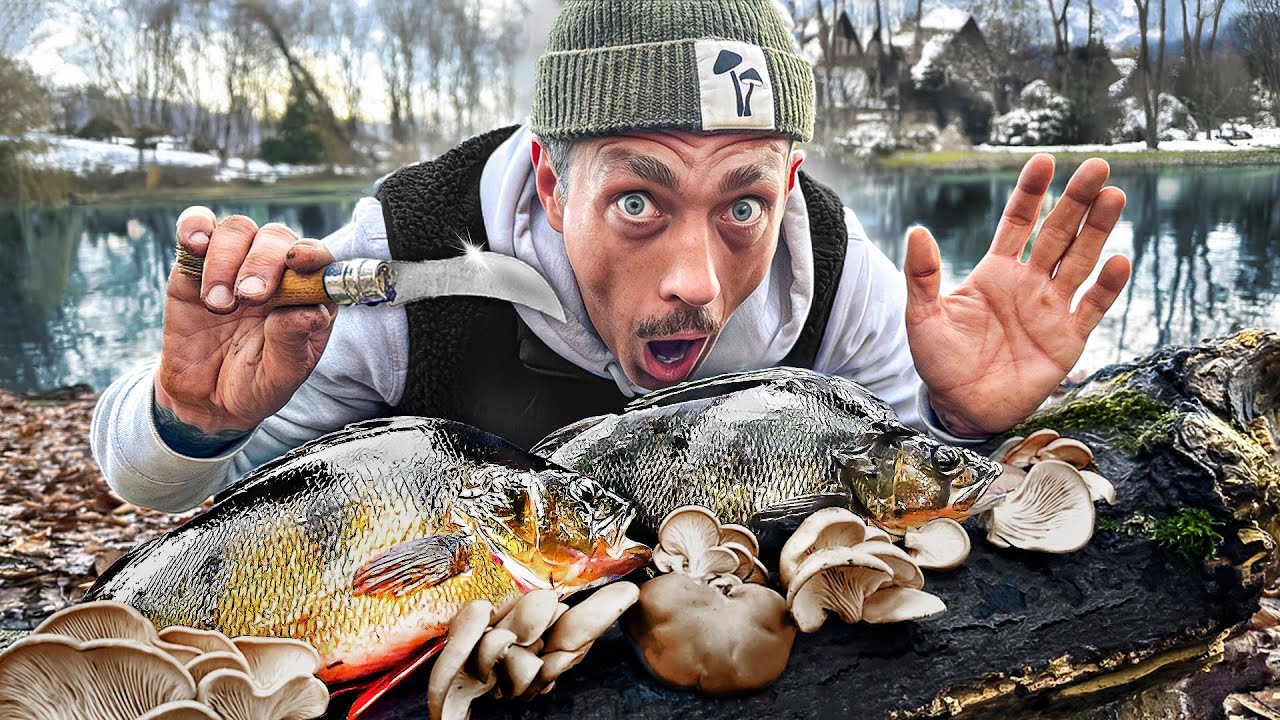 Catch and Cook im Winter: FETTE BARSCHE UND AUSTERNSEITLINGE und ein unfassbar leckeres Rezept!
