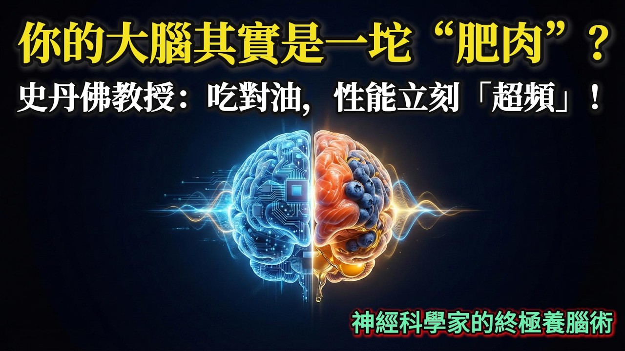 你的大腦其實是一坨「肥肉」？史丹佛教授：吃對油，性能立刻「超頻」！