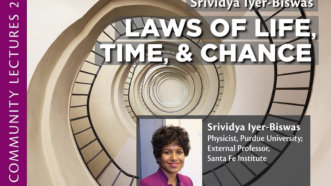 The Laws of Life, Time and Chance
