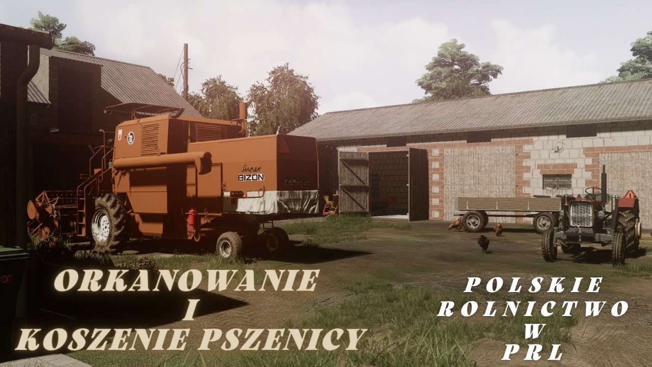 🔹Polskie Rolnictow w PRL🔹Orkanowanie po rzepaku i żniwa pszenicy #2