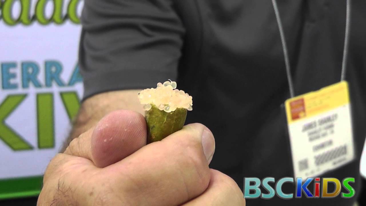 Finger Limes - Citrus Caviar