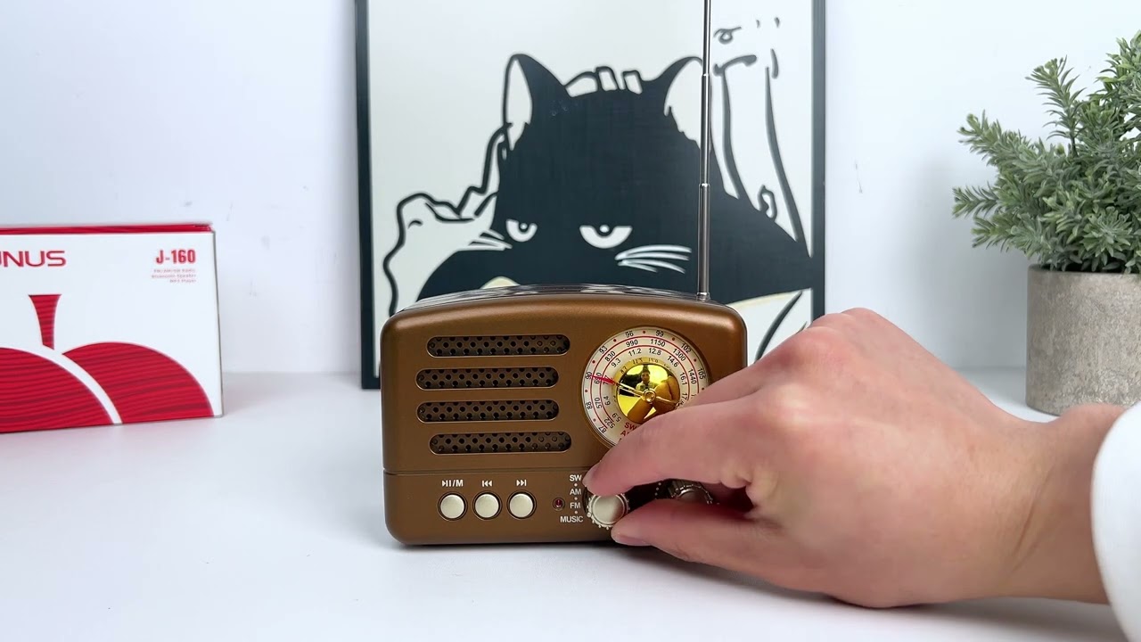 PRUNUS J-160 Retro Transistor Radio Battery Operated AM FM SW Radio, Small  Portable Radio