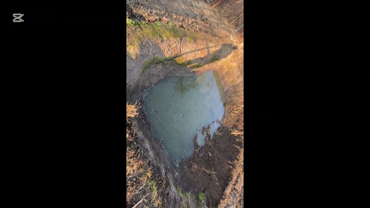 Partea 1 din refacerea balți din gradina