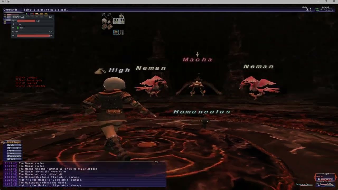 FFXI HORIZON BCNM30: Birds of a Feather SOLO SERVER FIRST?!?!?!?!?