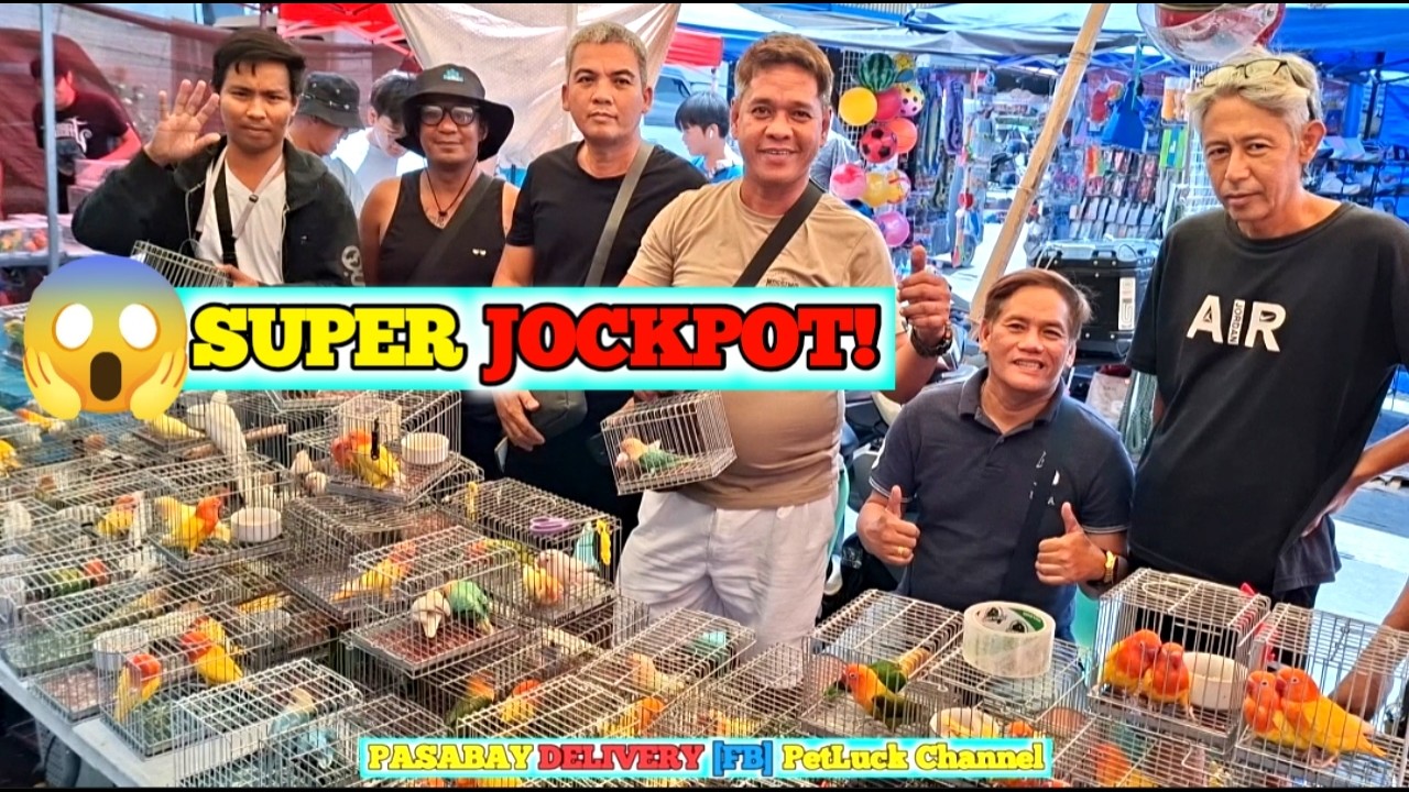 LOVEBIRDS SUPER SALE SA HULONG DUHAT MALABON PET MARKET