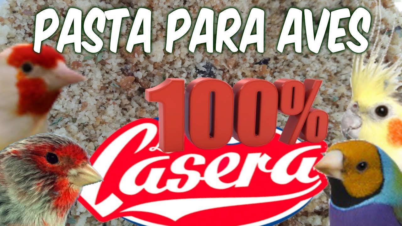 PASTA PARA AVES 100 % CASERA