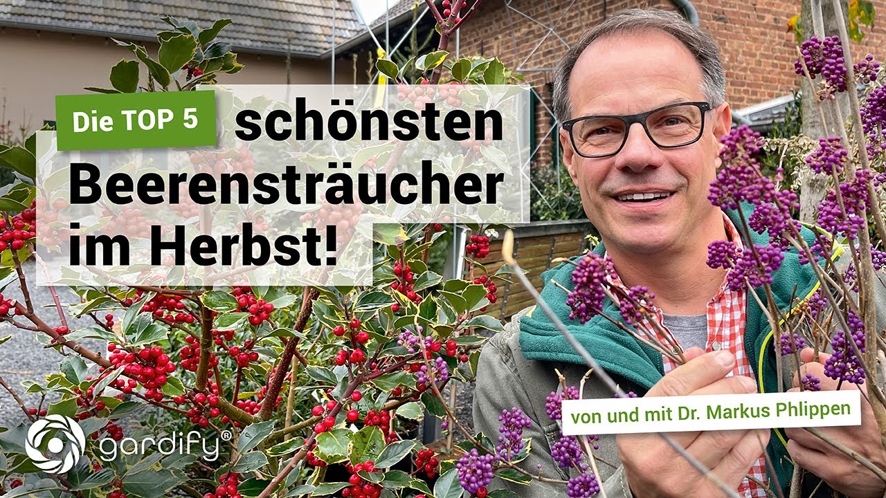 TOP 5 &ndash; Beerenstr&auml;ucher f&uuml;r den Herbst | gardify Tipps