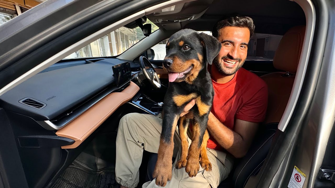 Akhir Hum Ny Rottweiler Dog Le Liya😍Challenge Completed 👍