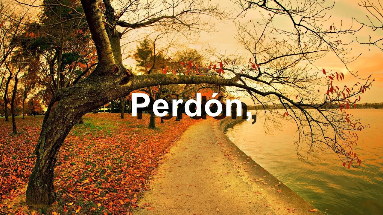 Perd&oacute;n - Camila - Letra - HD