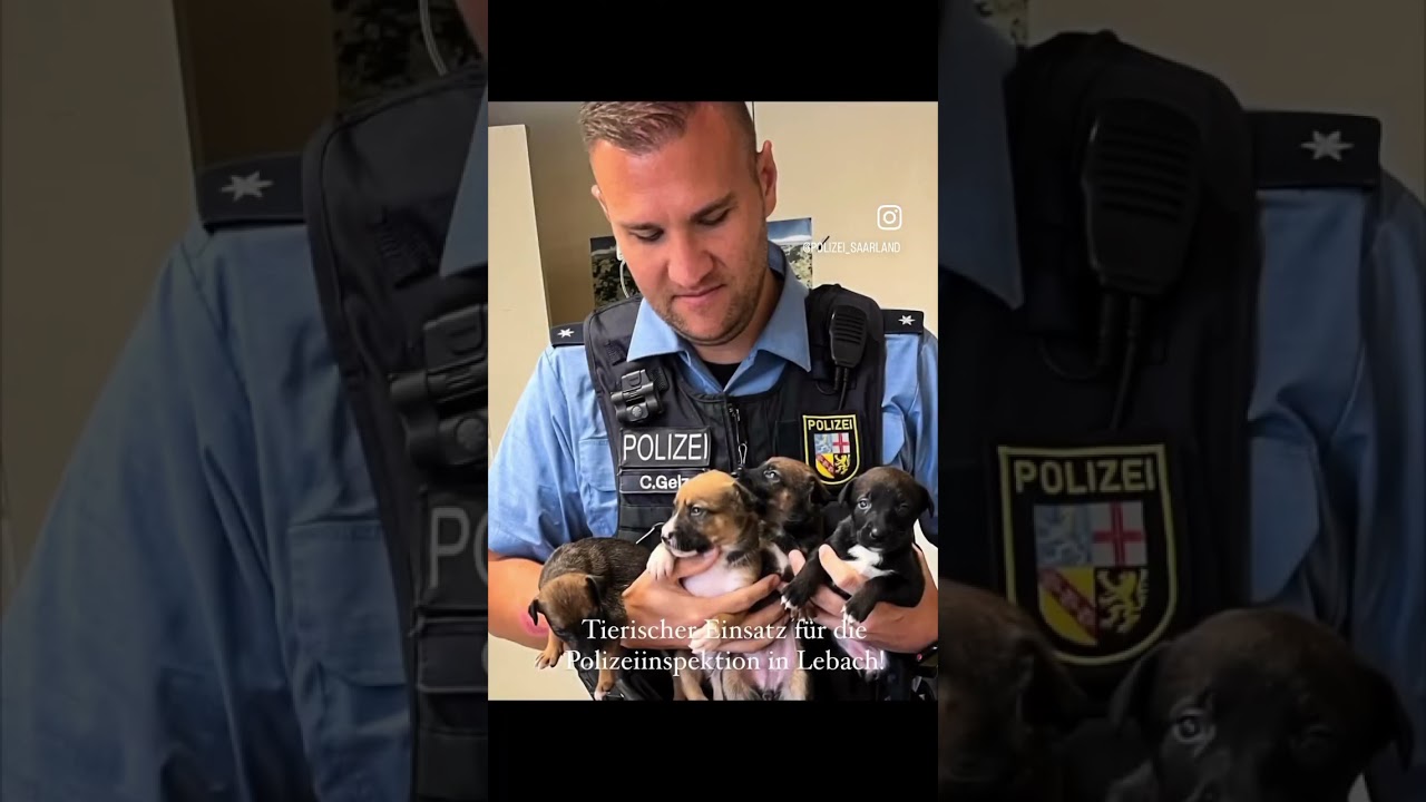Polizei Saarland - Tierischer Einsatz f&uuml;r die Polizeiinspektion Lebach #team