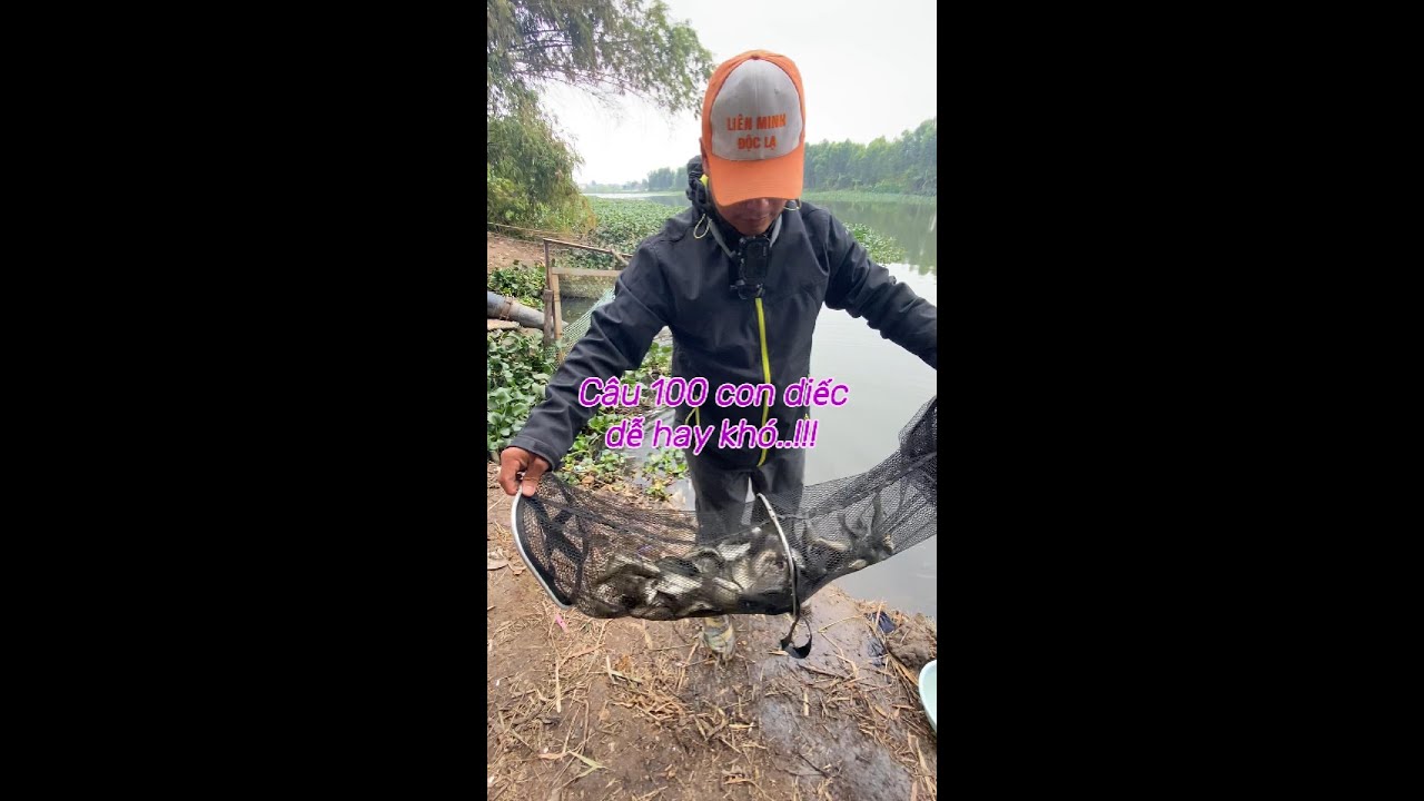 Câu 100 con cá diếc Dễ hay Khó..!!!