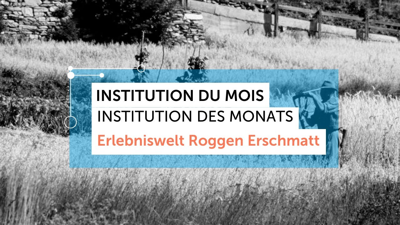 Erlebniswelt Roggen Erschmatt // Institution des Monats: August 2022 // Wissenschaft Wallis