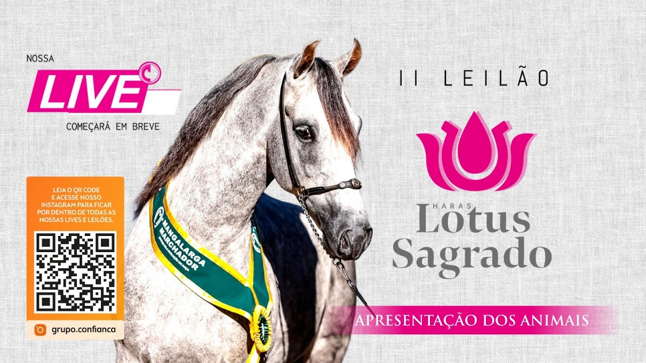 Live de Apresentação dos Animais - II Leilão Haras Lotus Sagrado