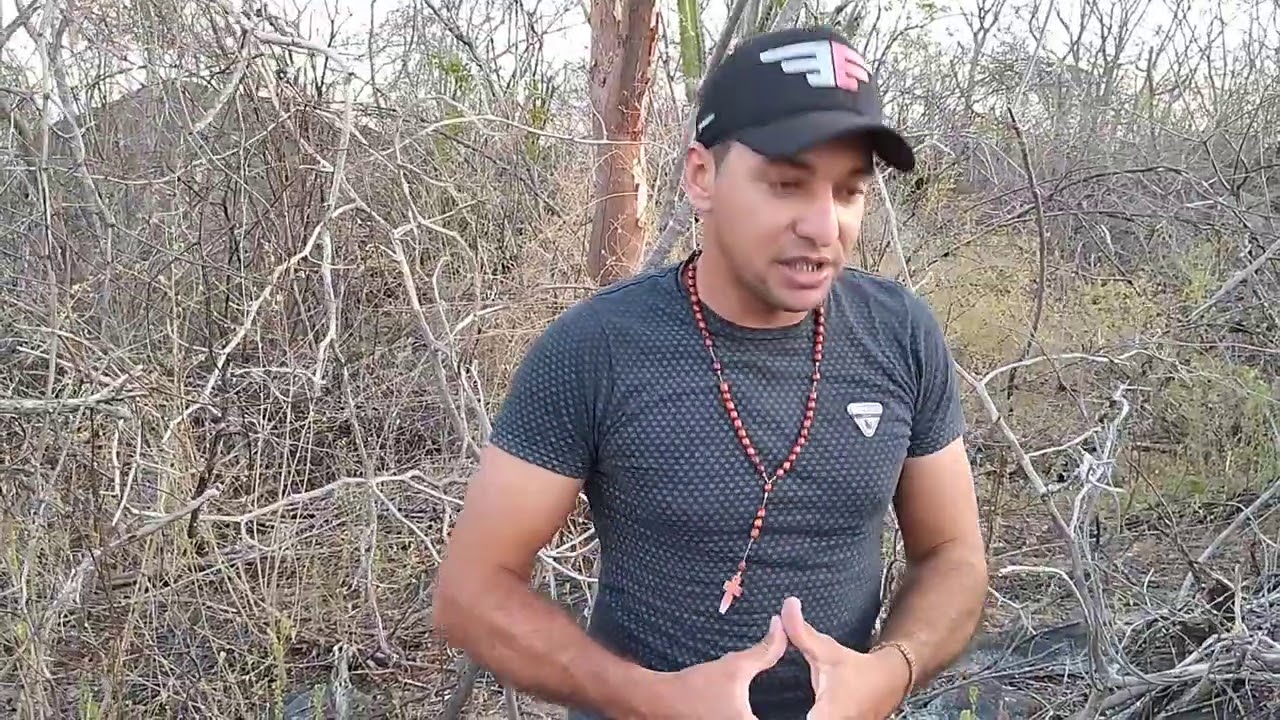 conheça os cactos da nossa região no sertão pernambucano🌵🌵