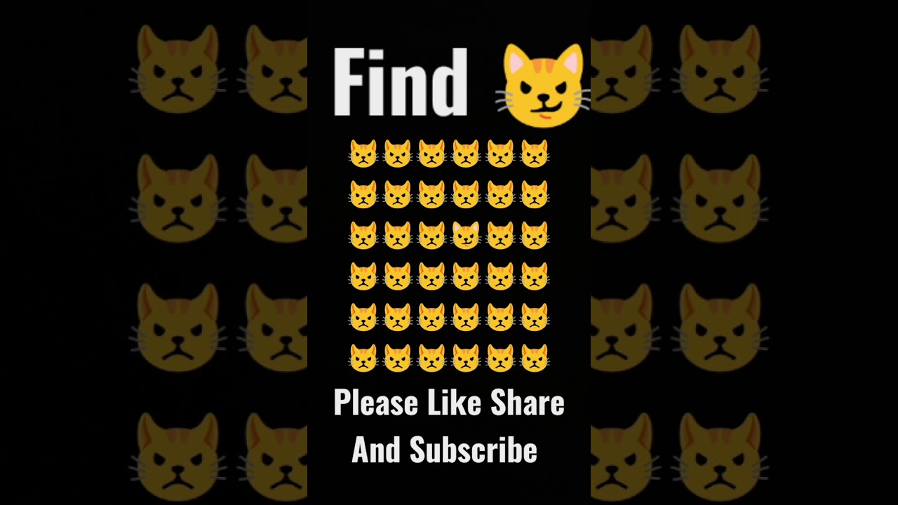 Find An Odd Cat Please Like Share And Subscribe 