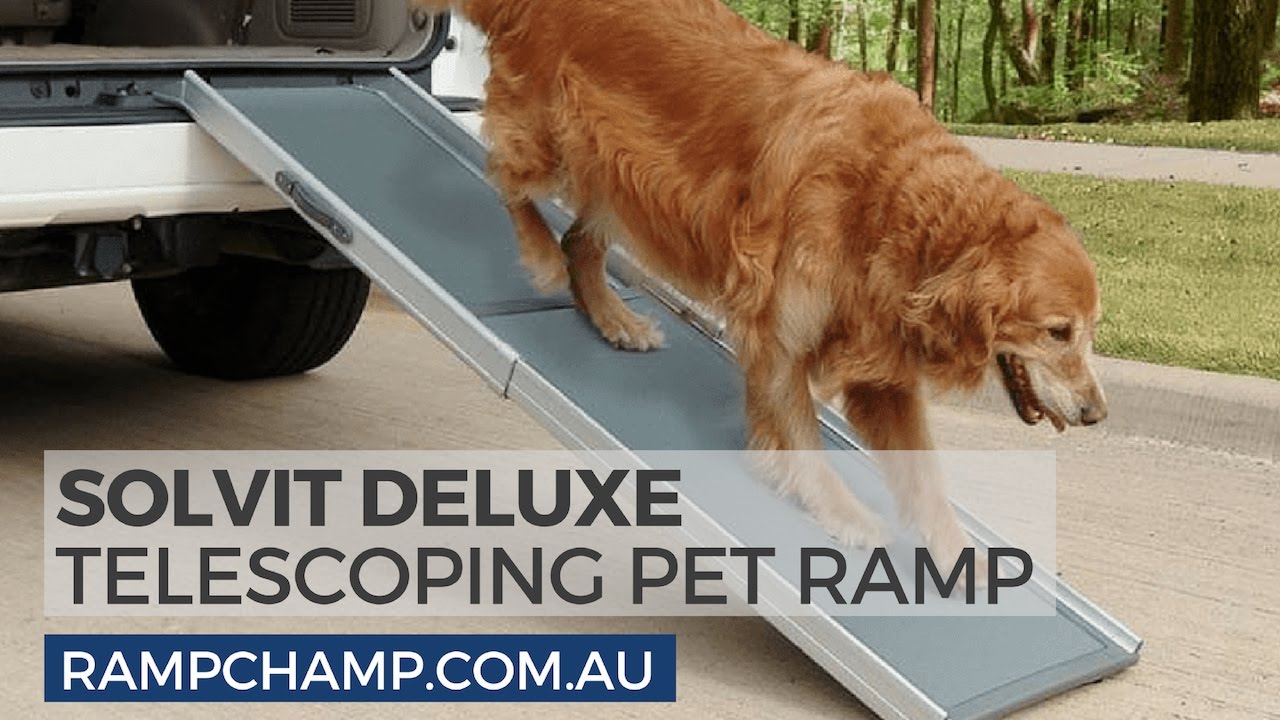 Solvit Deluxe Telescoping Pet Ramp from Ramp Champ