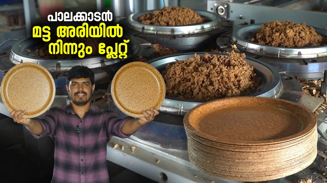 പാലക്കാടൻ മട്ട അരിയിൽ നിന്നും പ്ലേറ്റ് | Biodegradable Plates Making | Edible Plate | Thoosan